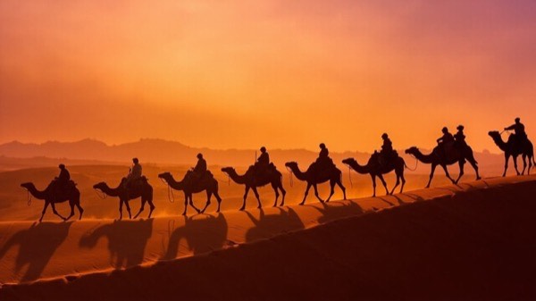骆驼商队的剪影
